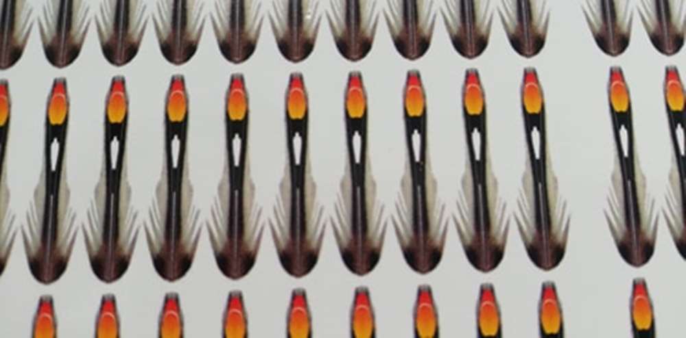 Semperfli Synthetic Jungle Cock 17mm Natural Small (180 Feathers Bulk Pack) Fly Tying Materials